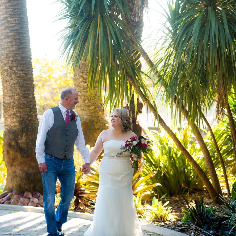 Galina lace wedding dress with tulle skirt-David's Bridal